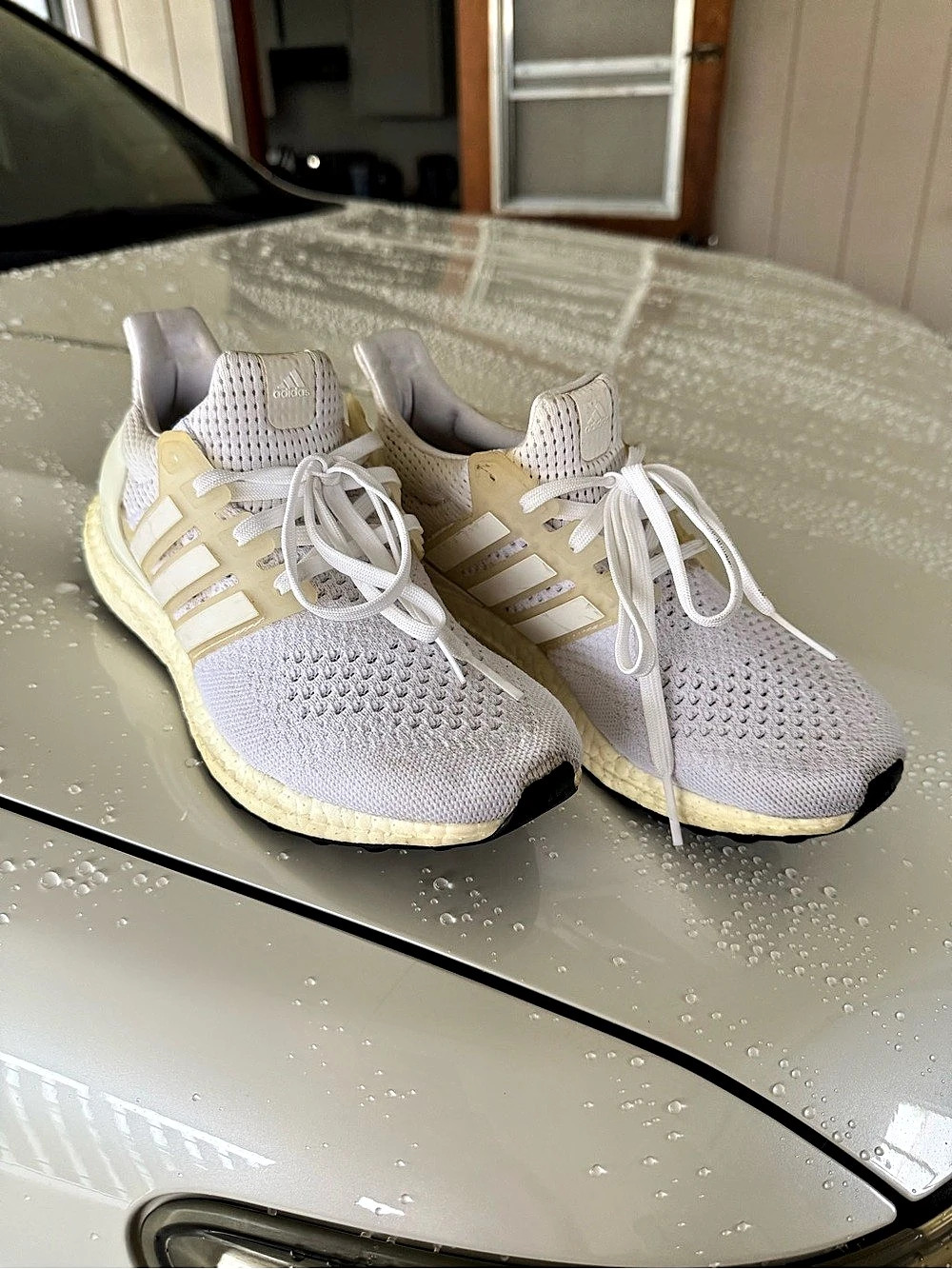 Adidas Ultraboost Shoes